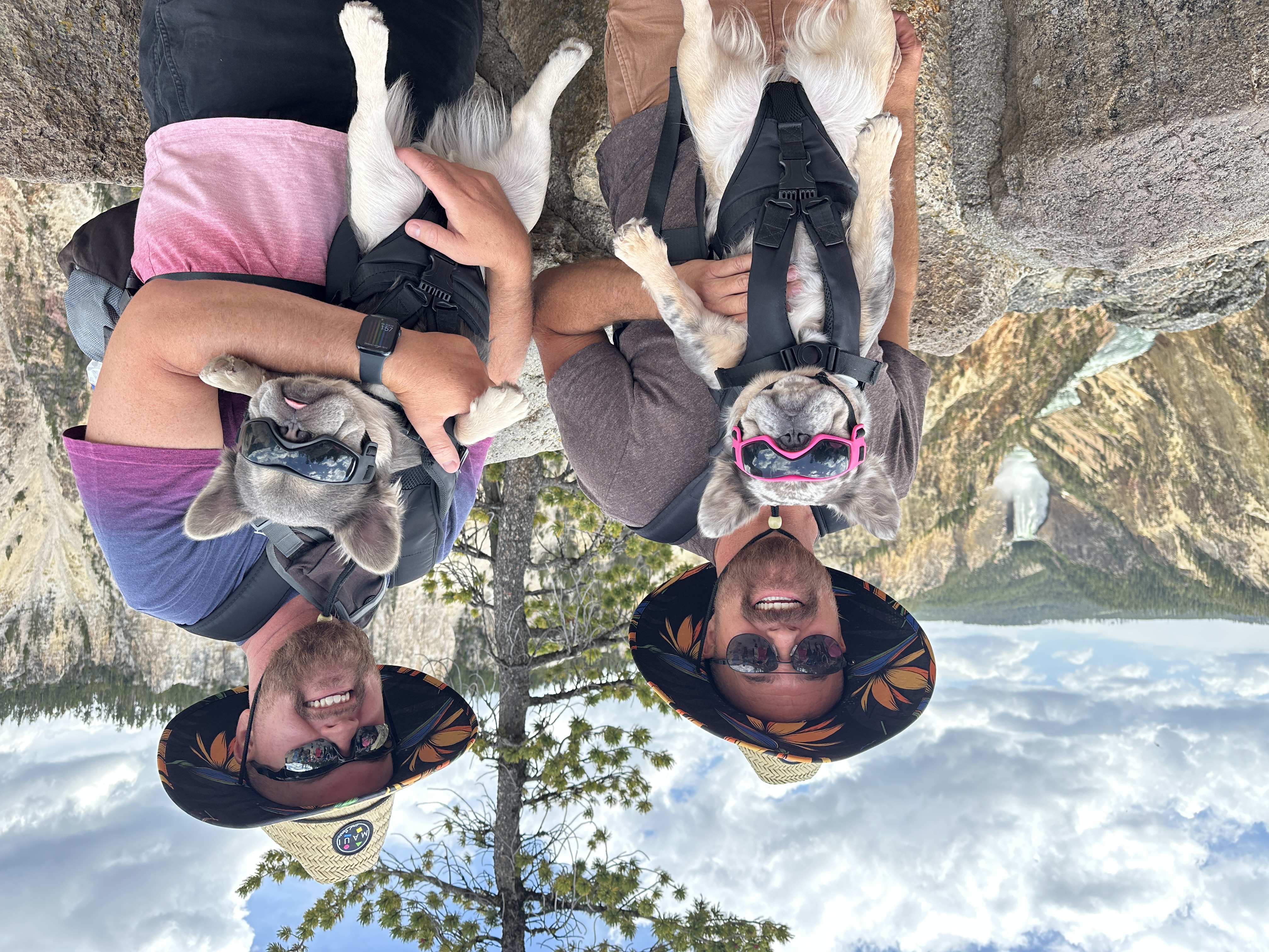 Owners with Bellatrix and Kreacher